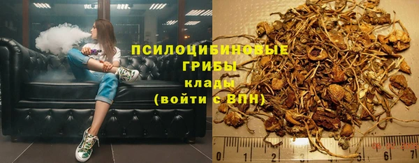 дурь Арсеньев